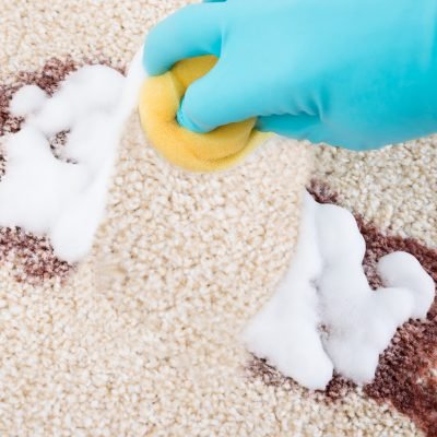 Close-up,Of,Person's,Hand,Cleaning,Stain,On,Carpet,With,Sponge